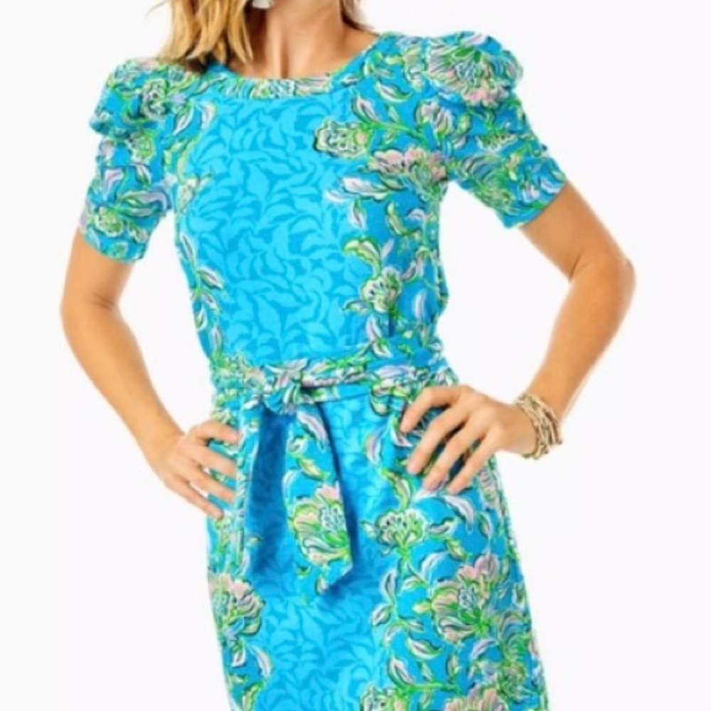 NWOT Lilly Pulitzer Harriet Elbow Sleeve Dress; Det Belt; Size L, Make an Offer!